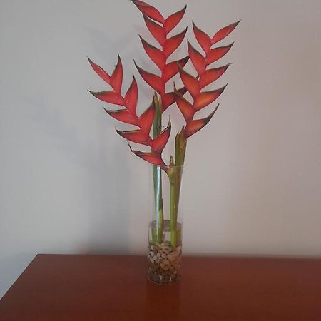Recanto Da Madeira. Apartamento Ribeira Brava Exterior foto